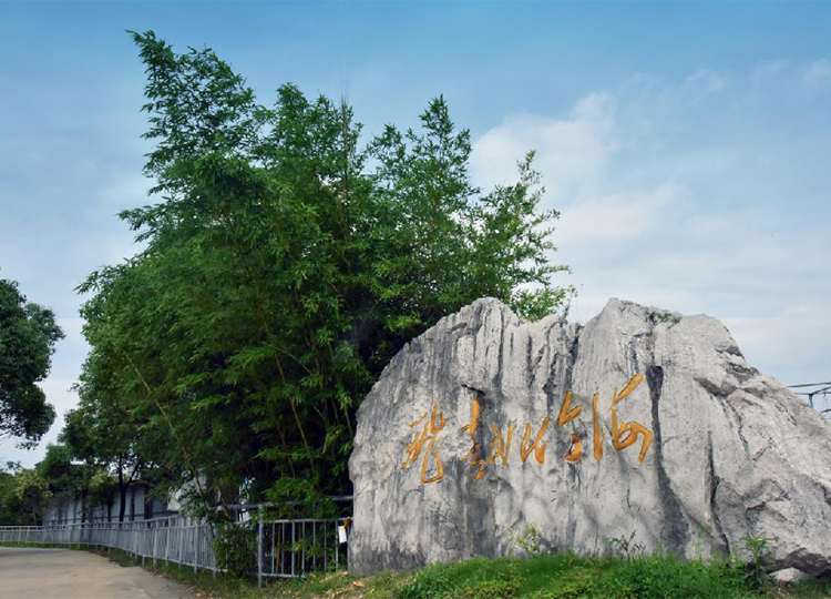 溧陽拓展基地-飛越竹海