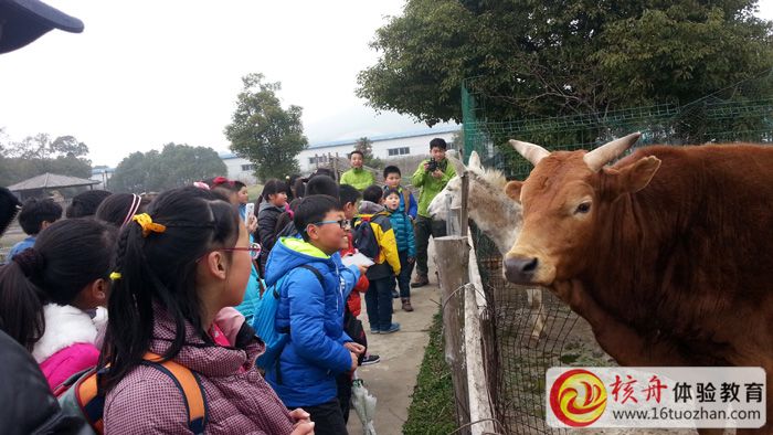 情系蘇州，核舟樂慧青少年春季體驗課走進農場 主題活動圓滿結束